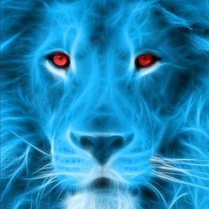 Meet your Posher, Herman